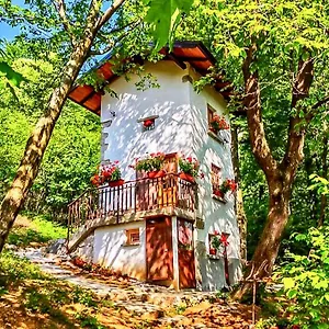 Il Roccolino Lodge